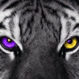 Meet your Posher, Margaret